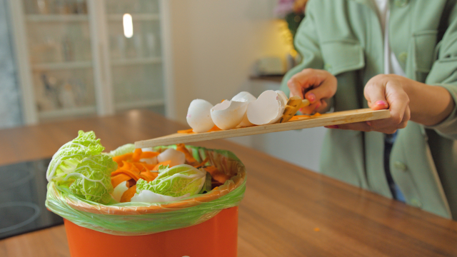 生ゴミは捨てるまでどこに置く？臭いや虫を防ぐために知っておくべき保管術