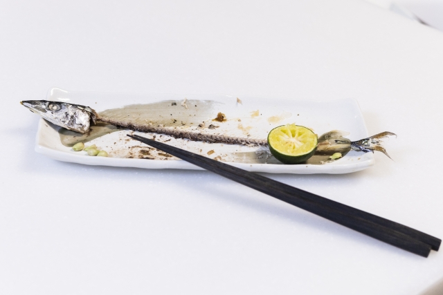 生ゴミ処理機で魚の骨は処理できる？方式別の見極め方と失敗しない入れ方