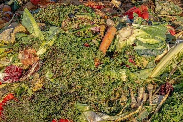 couleur-compost-3663514_640