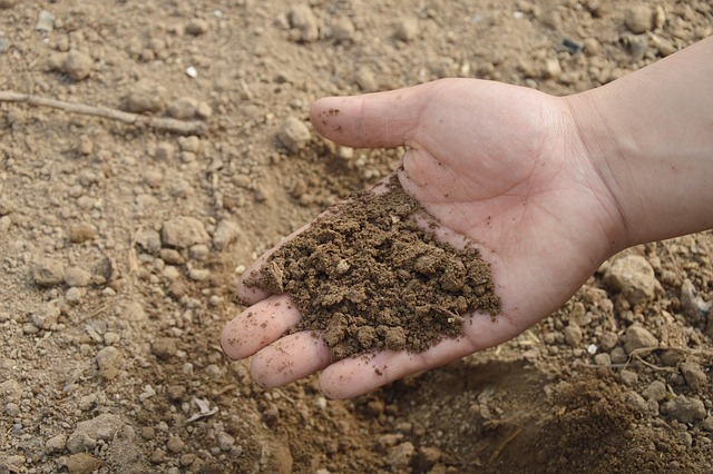 jing-soil-766281_640