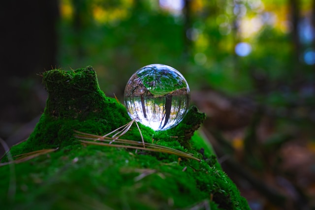 joshua-woroniecki-WrOiU8aTxTE-unsplash