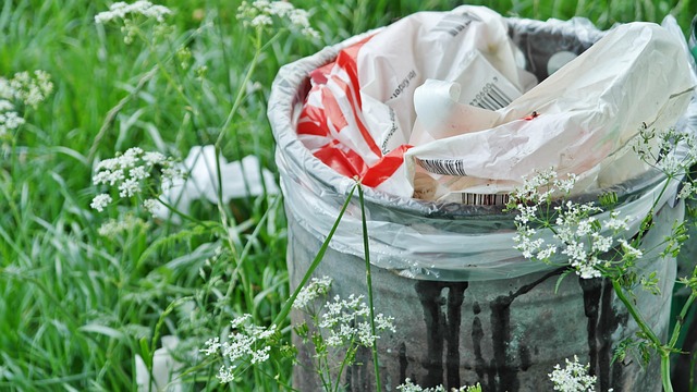 ritae-garbage-can-1423840_640