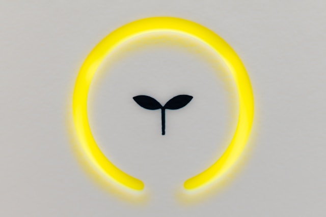 se-tsuchiya-gxIg8FcDIC8-unsplash