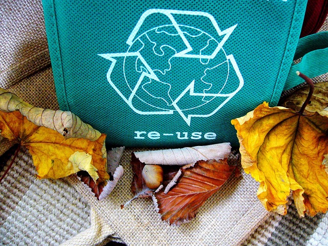shirley810-recycle-57136_640
